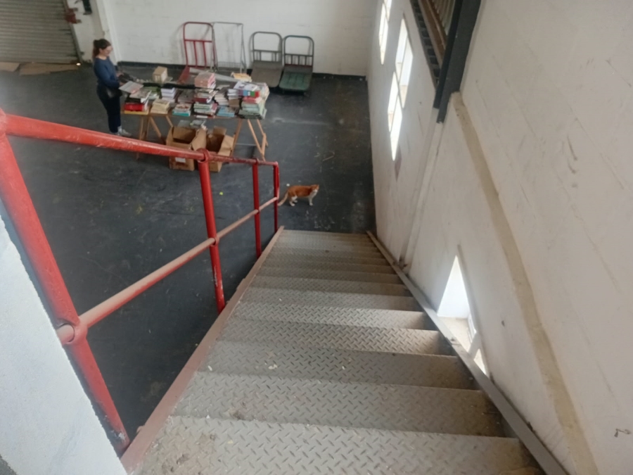 To Let Commercial Property for Rent in George Park Western Cape